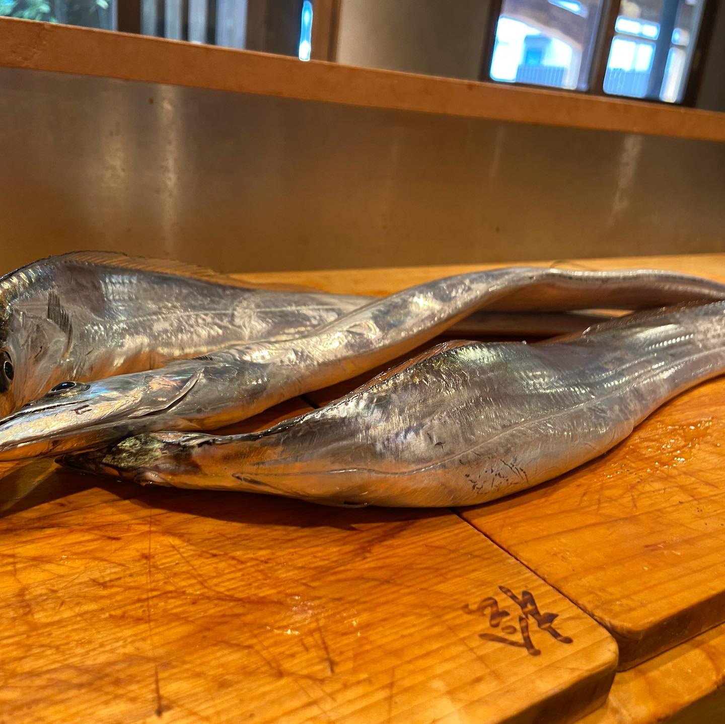 本日入荷 釣り太刀魚お刺身で 大衆割烹 伍 大衆割烹 伍