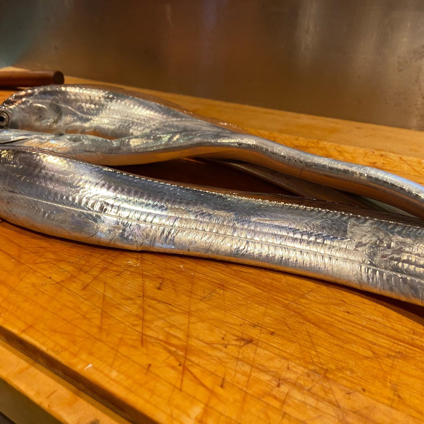 本日入荷 釣り太刀魚お刺身で 大衆割烹 伍 大衆割烹 伍