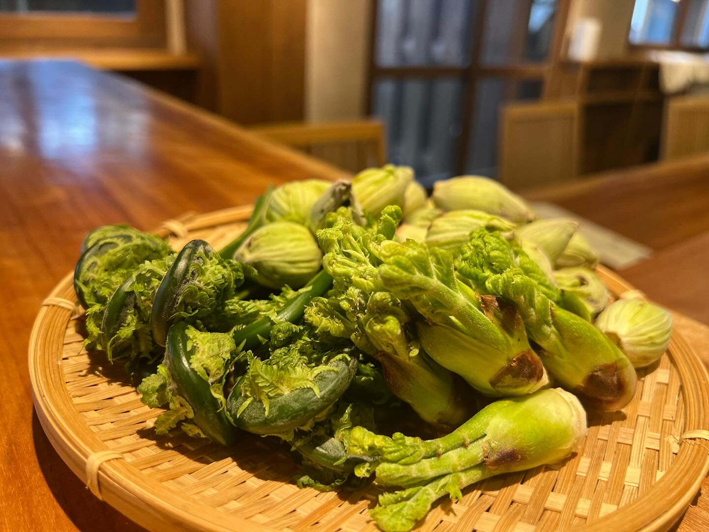 まだまだ寒さが続きますが少量ですが山菜はじめました。
本日は雪の影響を鑑みてお休みとさせていただきます。